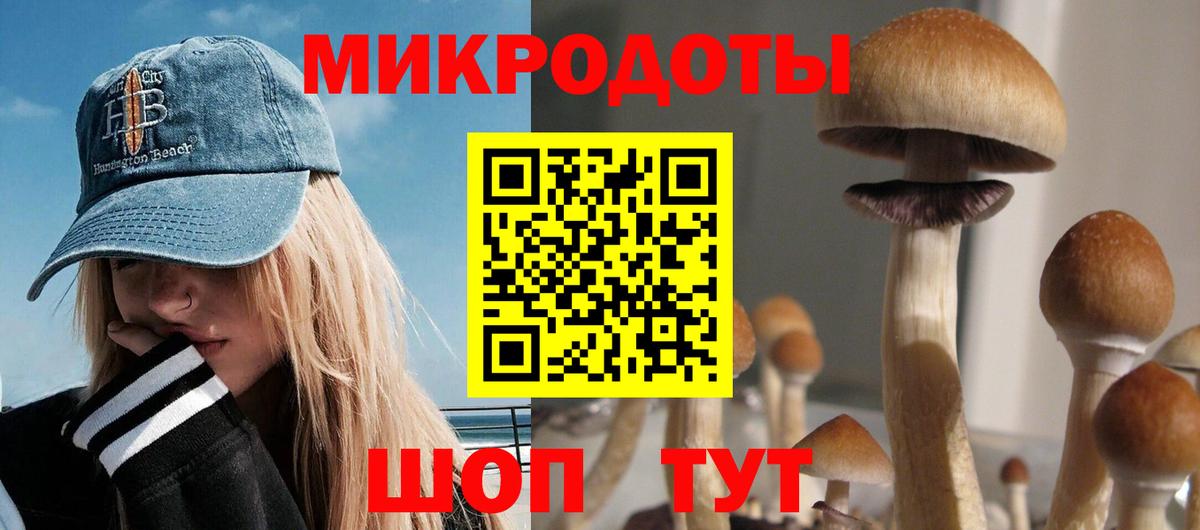 Псилоцибиновые грибы Magic Shrooms  Псилоцибиновые грибы прущие грибы  дарнет шоп  Холмск  Вход с VPN 